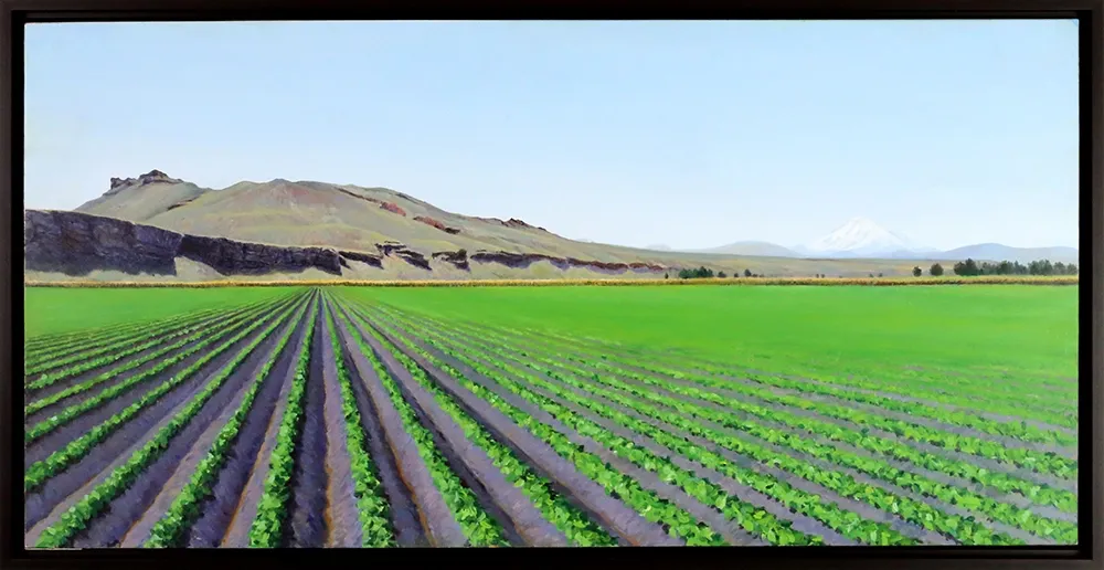 The Peninsula and Newly Plowed Field after Early May Showers