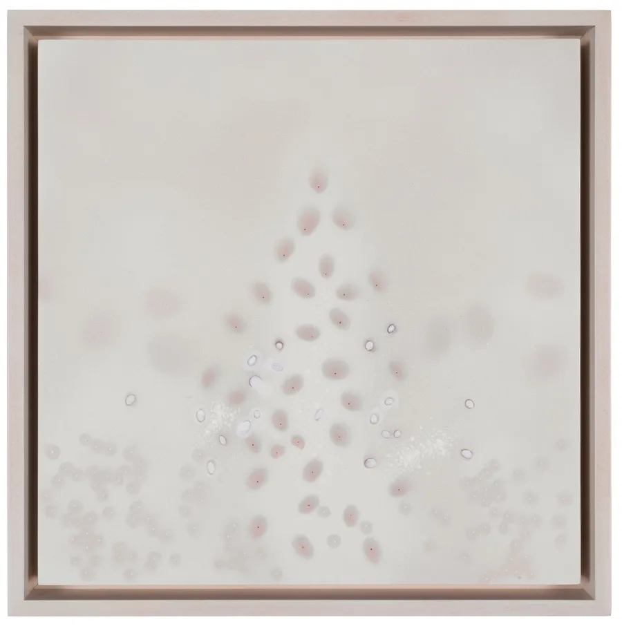 Amass (Lumen)