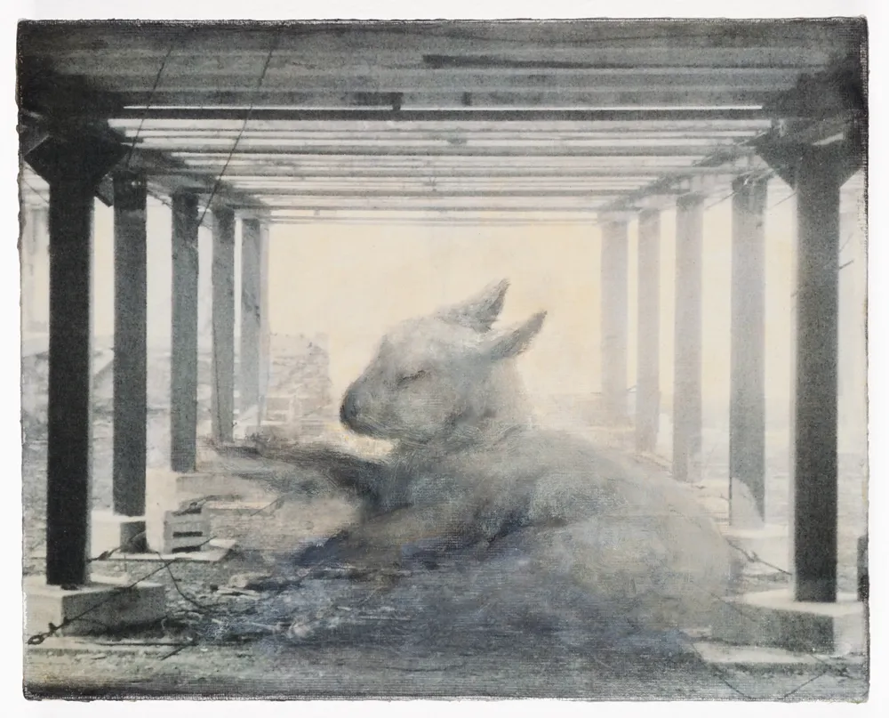 The Animals I Sleep With, the Lamb