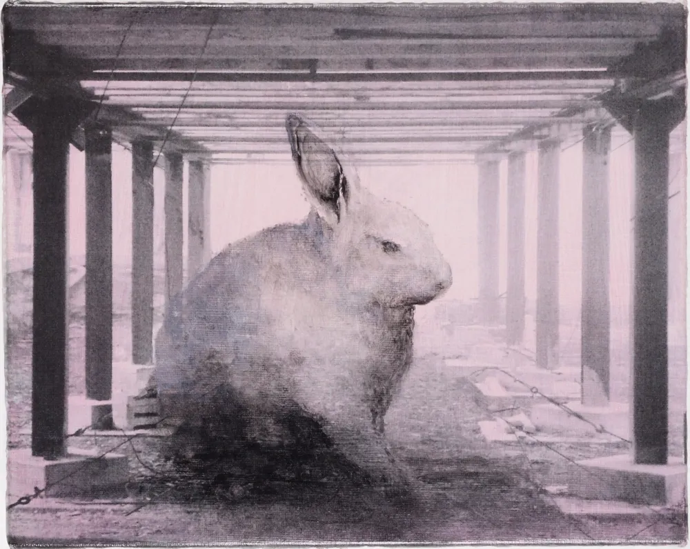 The Animals I Sleep With, the Rabbit