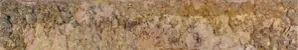 Velocity : Larry Poons