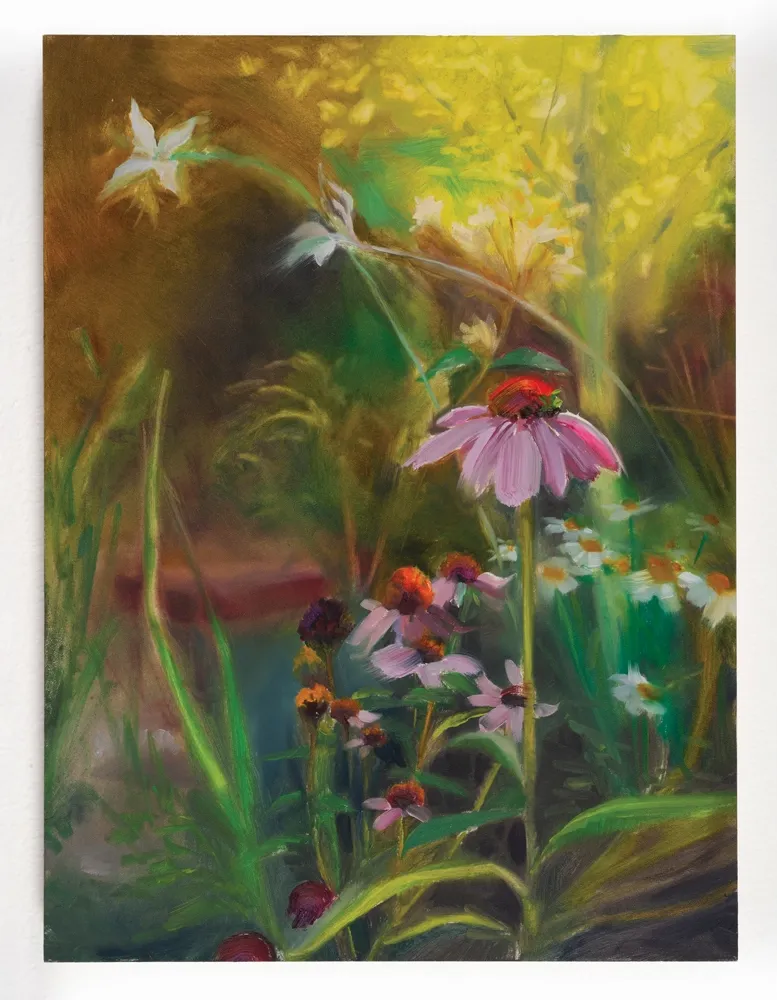 Guara and Echinacea