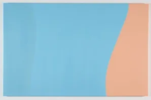 ANN WALSH : COLORS