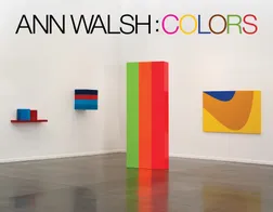 ANN WALSH : COLORS
