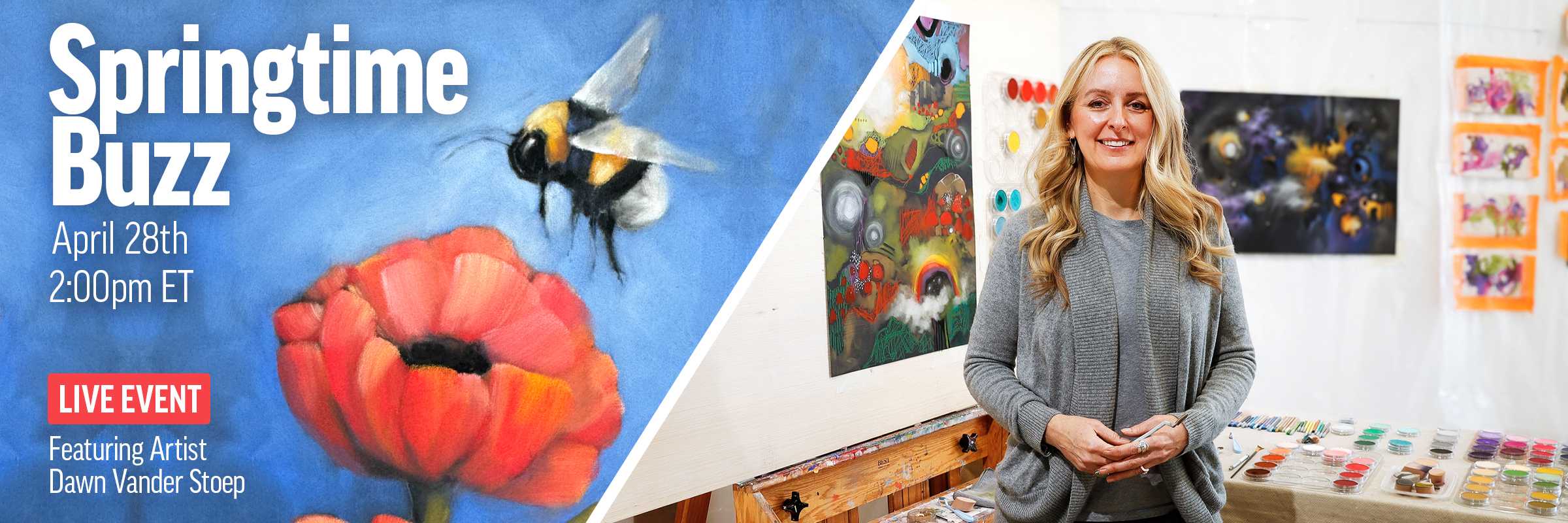 Dawn Vander Stoep live event featuring PanPastel